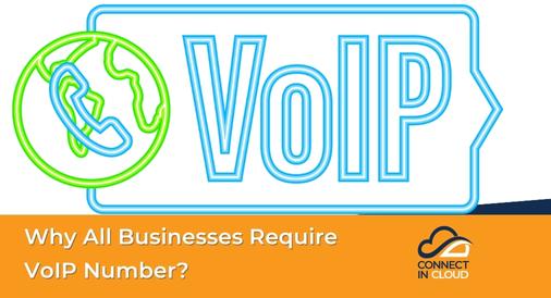 Why All Businesses Require VoIP Number?